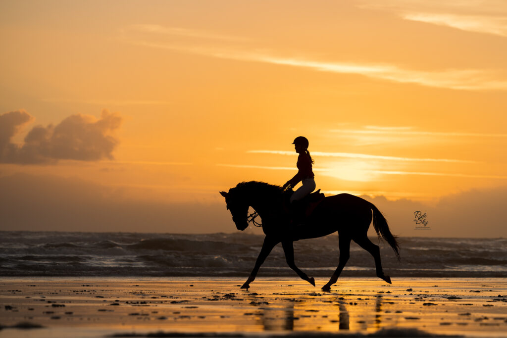 Horse Photography For Non-Equine Photographers with Betsy Bird