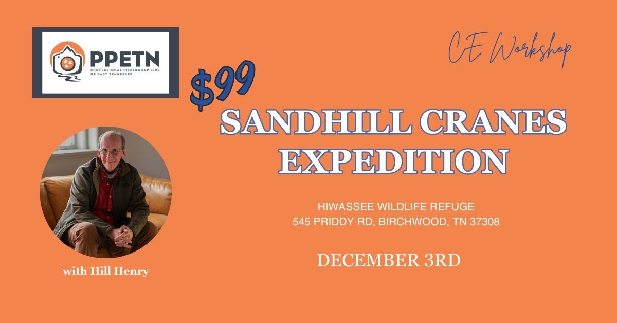 Sandhill Cranes Expedition with Hill Henry